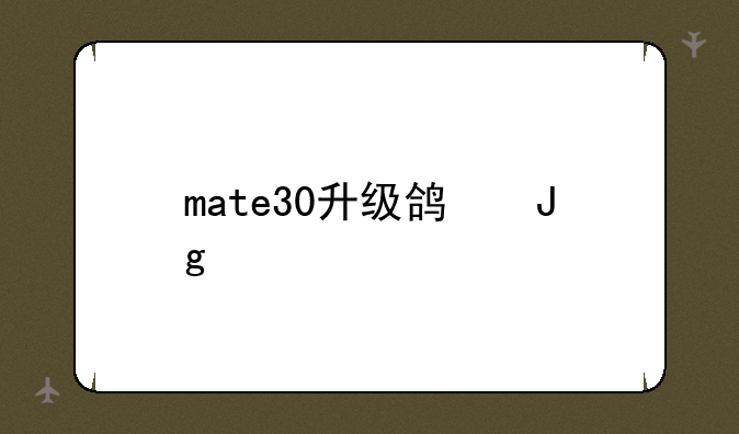 mate30升级鸿蒙系统
