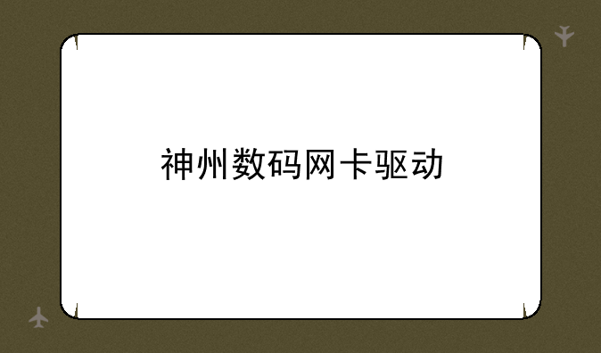 神州数码网卡驱动
