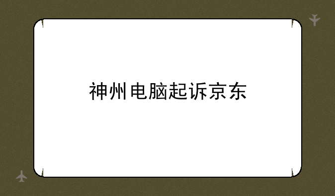 神州电脑起诉京东