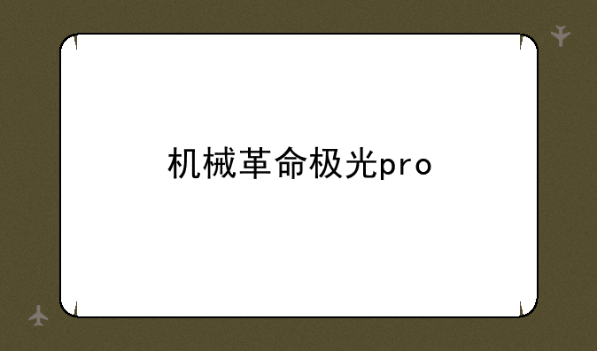 机械革命极光pro