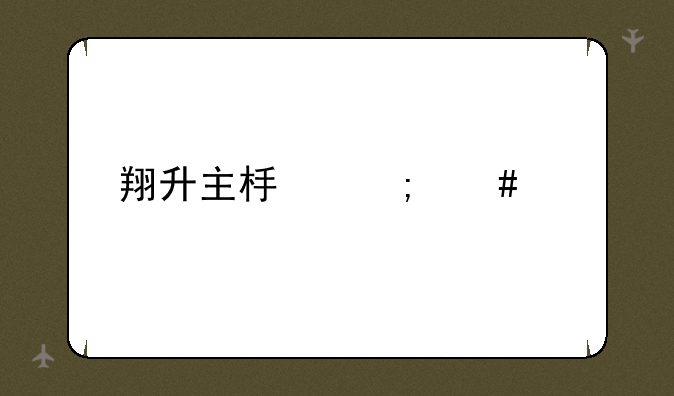 翔升主板怎么样