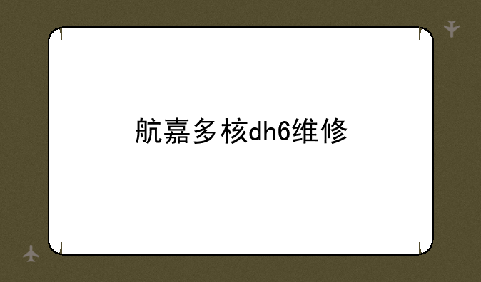 航嘉多核dh6维修