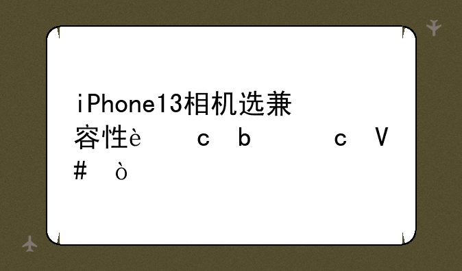iPhone13相机选兼容性还是高效？