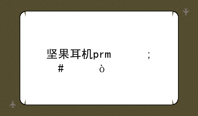 坚果耳机pro怎么样？