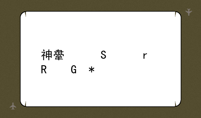 神舟笔记本电脑报价