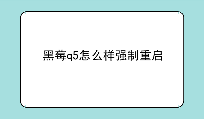 黑莓q5怎么样强制重启