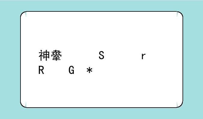 神舟笔记本电脑报价大全