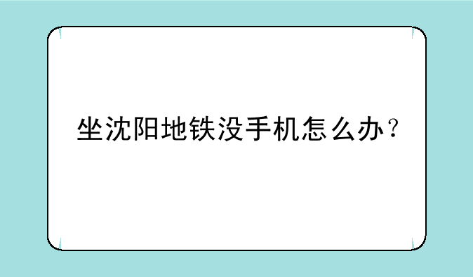 坐沈阳地铁没手机怎么办？