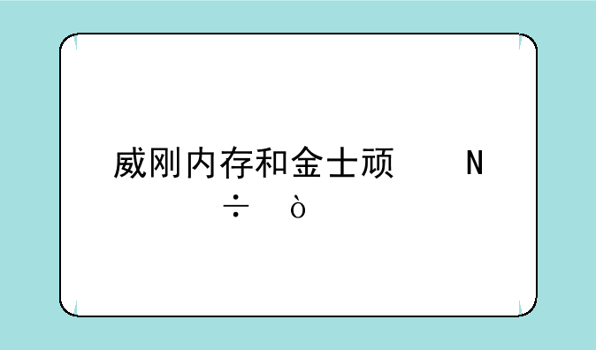威刚内存和金士顿哪个好？