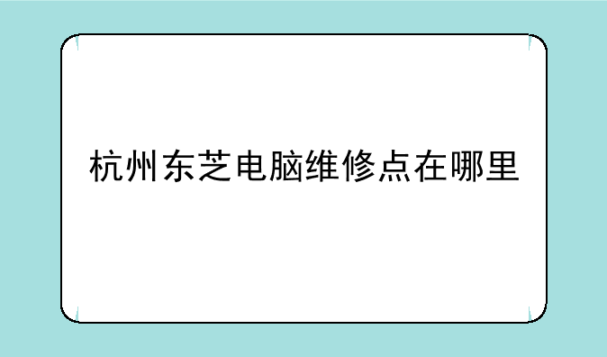 杭州东芝电脑维修点在哪里