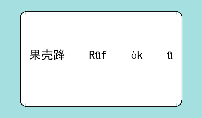 果壳路由器：深度剖析与选购指南
