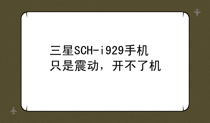 三星SCH-i929手机只是震动，开不了机