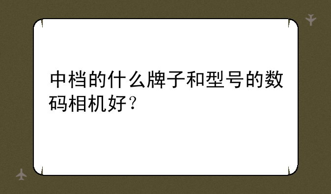 中档的什么牌子和型号的数码相机好？