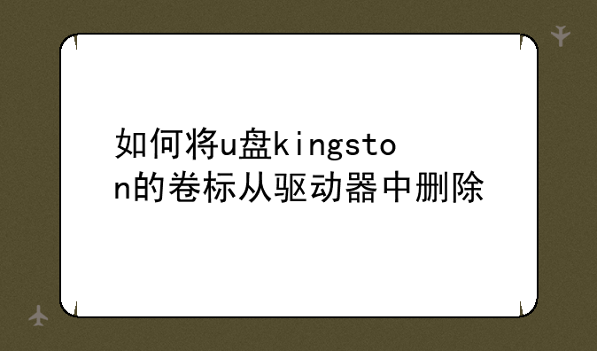 如何将u盘kingston的卷标从驱动器中删除
