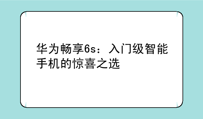 华为畅享6s：入门级智能手机的惊喜之选