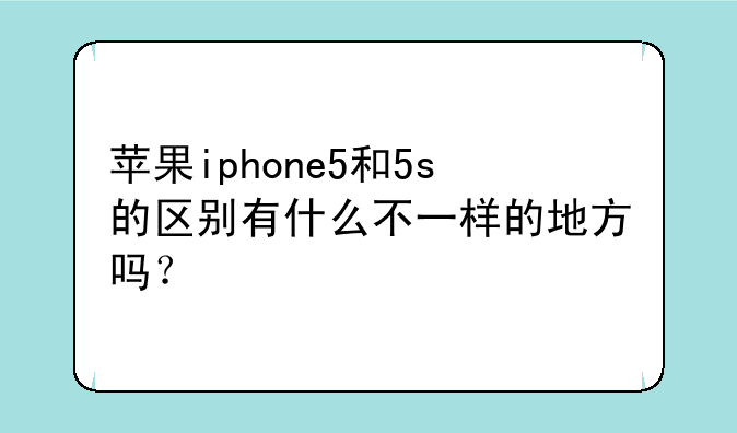 苹果iphone5和5s的区别有什么不一样的地方吗？