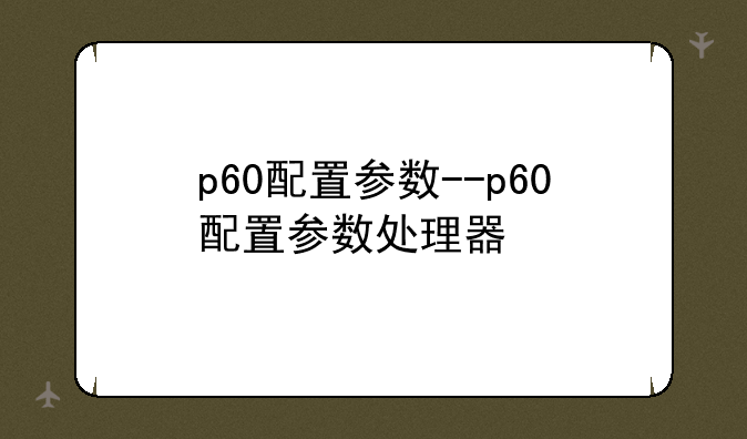 p60配置参数--p60配置参数处理器