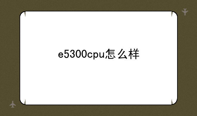 e5300cpu怎么样