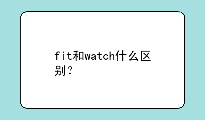fit和watch什么区别？