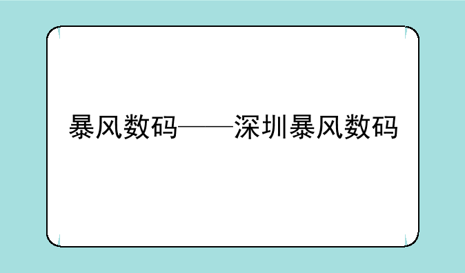 暴风数码——深圳暴风数码