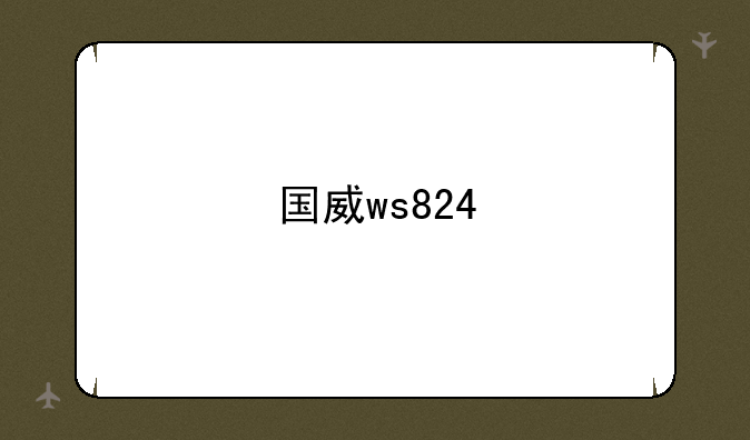 国威ws824