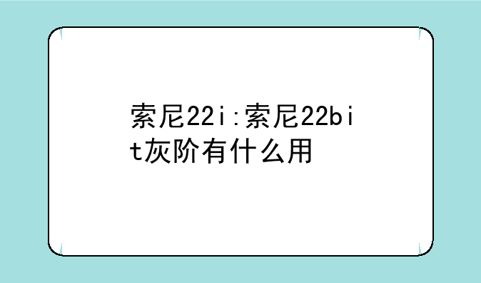 索尼22i:索尼22bit灰阶有什么用