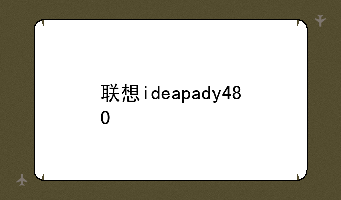 联想ideapady480