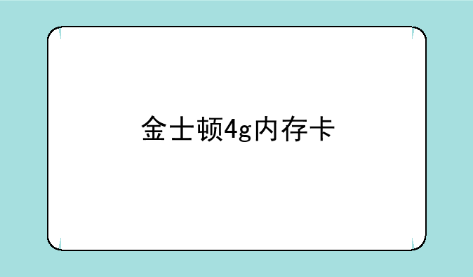 金士顿4g内存卡