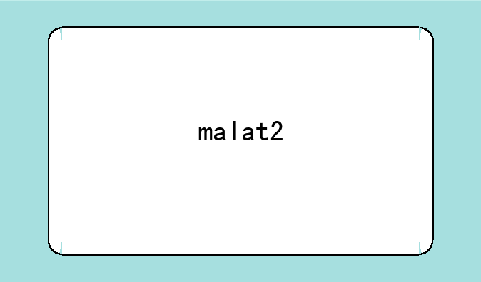 malat2